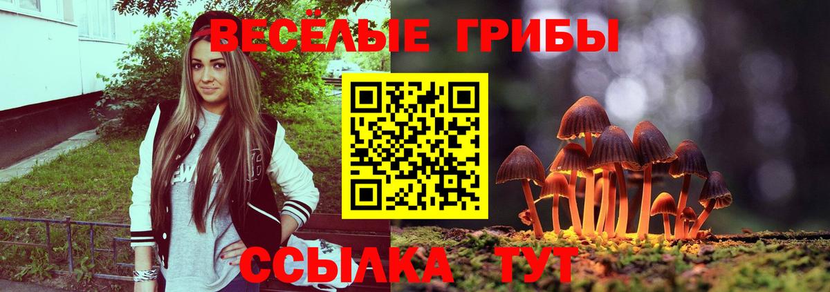 Псилоцибиновые грибы GOLDEN TEACHER Владимир