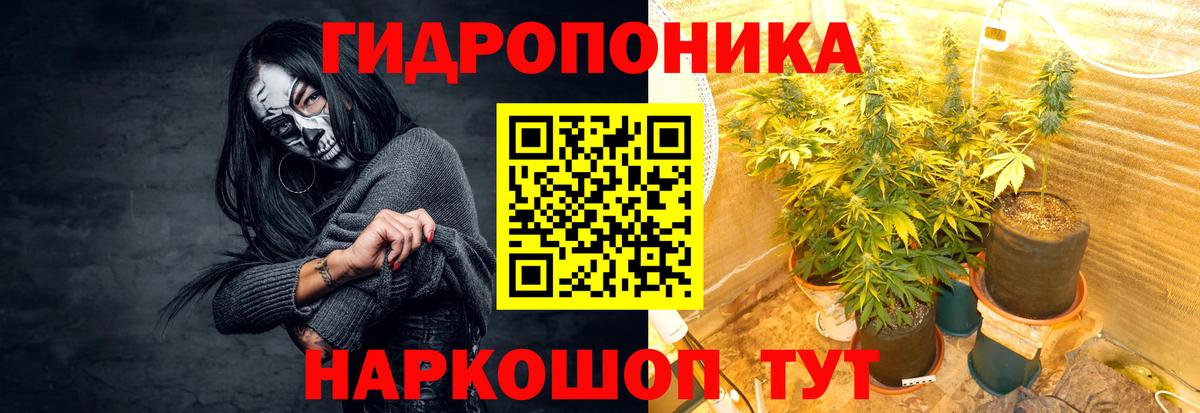 Бошки марихуана семена  Вход с VPN  МАРИХУАНА план  Владимир  Марихуана THC 21% 